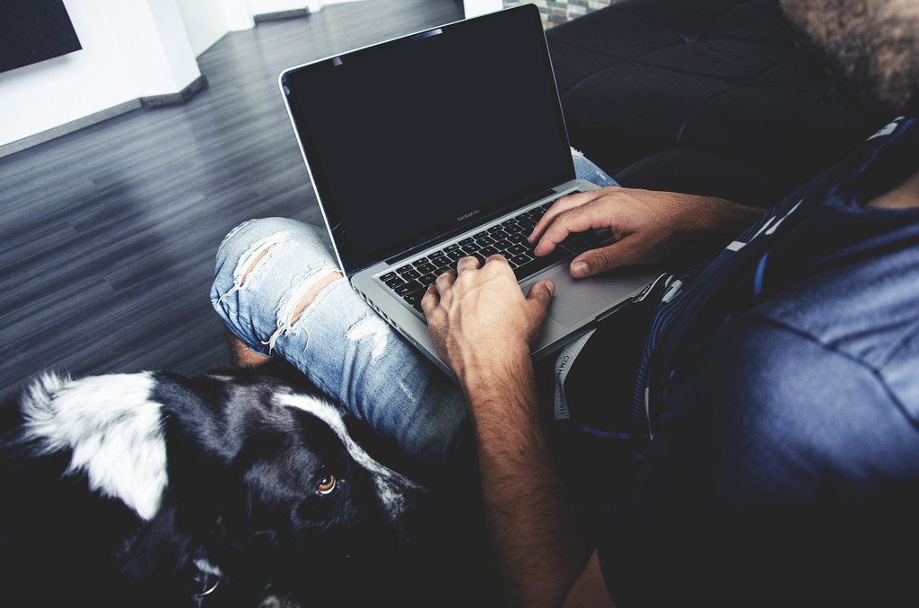 laptop z uporządkowanymi folderami